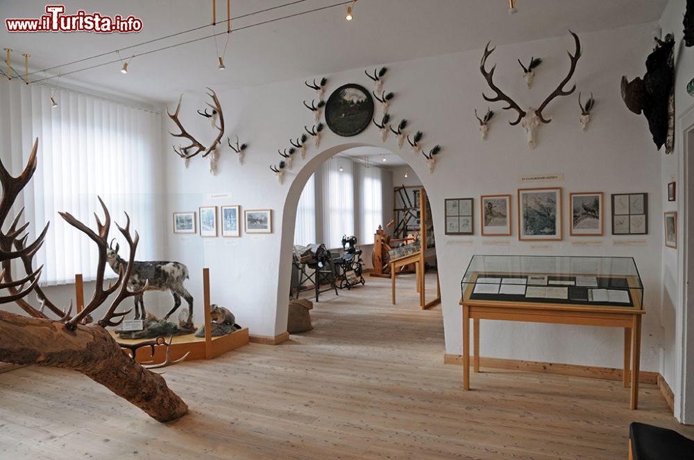 Immagine La sala dedicata alla fauna selvatica al Museo Ganghofer di Leutasch, Austria. Qui si possono vedere da vicino anche le corna di stambecchi e altri ungulati selvatici © Sonja Vietto Ramus