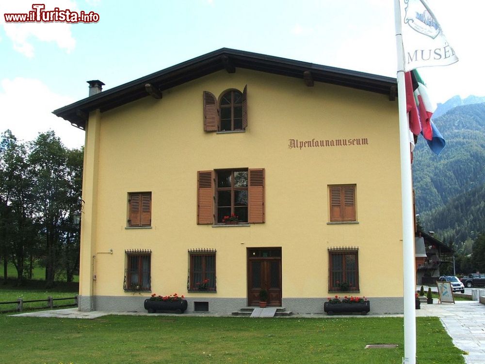 Immagine Esterno dell'Alpenfaunamuseum di Gressoney in Valle d'Aosta - © Twice25 & Rinina25 - CC BY 2.5, Wikipedia