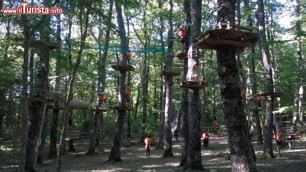 Immagine Il Parco Avventura Cerris a Chiauci in Molise, Bosco Sant'Onofrio