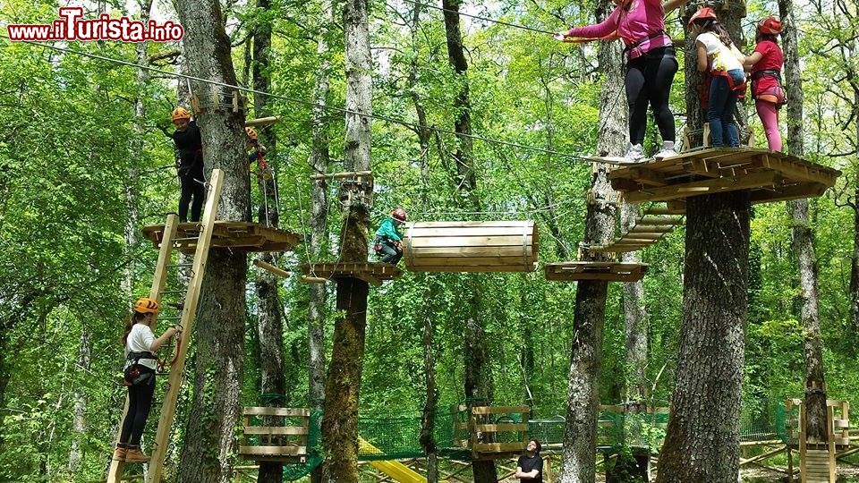 Immagine Le famiglie impegnate al Cerris Park, il Parco Avventura di Chiauci in Molise