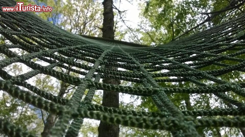 Immagine Una rete da scalare al Ceris Park di Chiauci