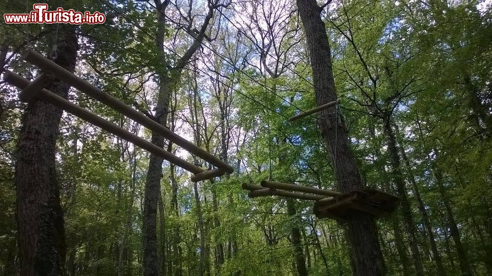 Immagine Uno dei percorsi avventura del Cerris Park in Molise