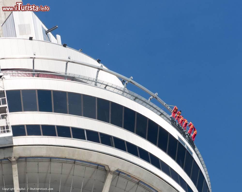 Immagine Il tour panoramico della Edge Walk sulla Cn Tower di Toronto - © DayOwl / Shutterstock.com