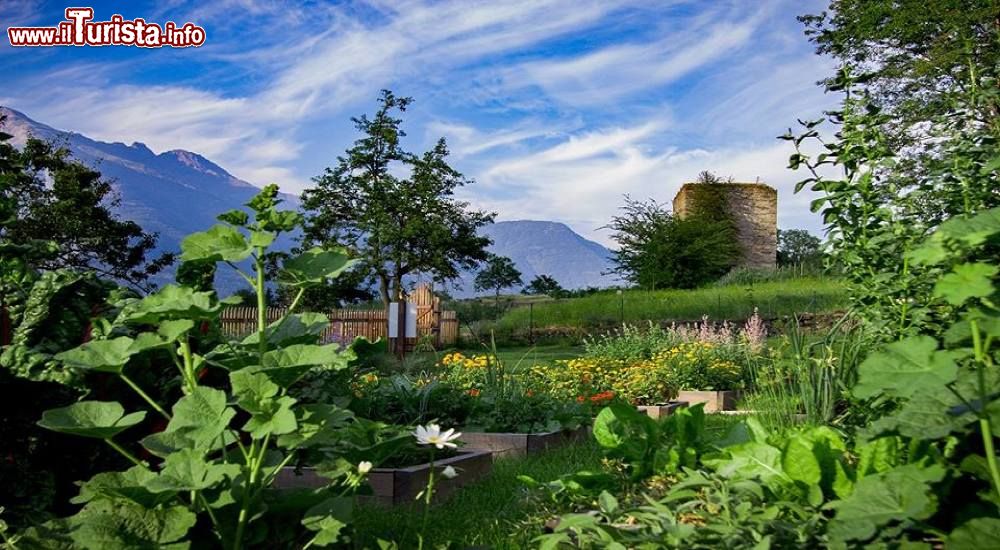 Immagine Il giardino della Casa degli antichi rimedi a Jovencan in Valle d'Aosta
