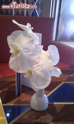 Costa Favolosa - un fiore stupendo per una nave favolosa