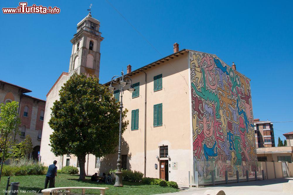 Immagine Il muro della Canonica della Chiesa di Sant'Antonio a Pisa, e il murale Tuttomondo di Keith Haring - © kay roxby / Shutterstock.com