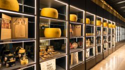 Lo store del Consorzio Parmigiano Reggiano a Fico Eataly Word di Bologna, Emilia Romagna. Realizzato esclusivamente nelle province di Reggio Emilia, Parma e Modena e in parte in quelle di Bologna ...