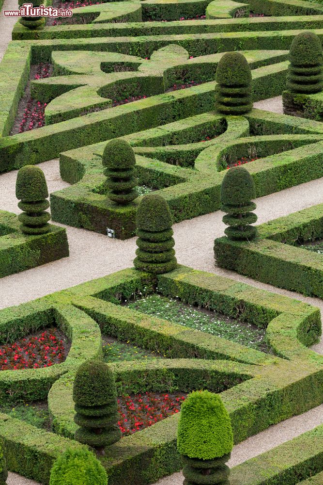 Immagine Particolare del giardino del Castello Vaux le Vicomte a Meun in Francia