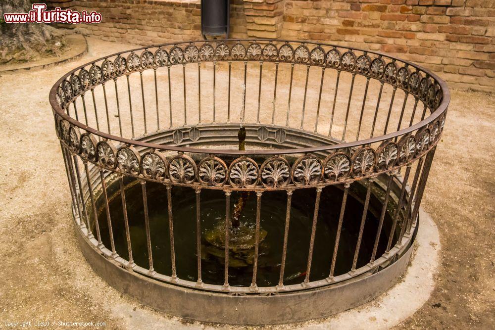 Immagine Una fontana all'interno della Rocca di Fontanellato, il Castello Sanvitale che fu anche posseduto dai VIsconti di Milano - © LIeLO / Shutterstock.com