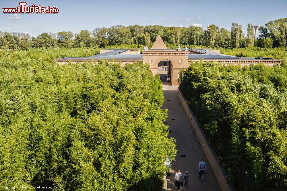 Immagine La foresta di Bambù di Fontanellato, il Labirinto della Masone, si estende per 7 ettari - © LIeLO / Shutterstock.com