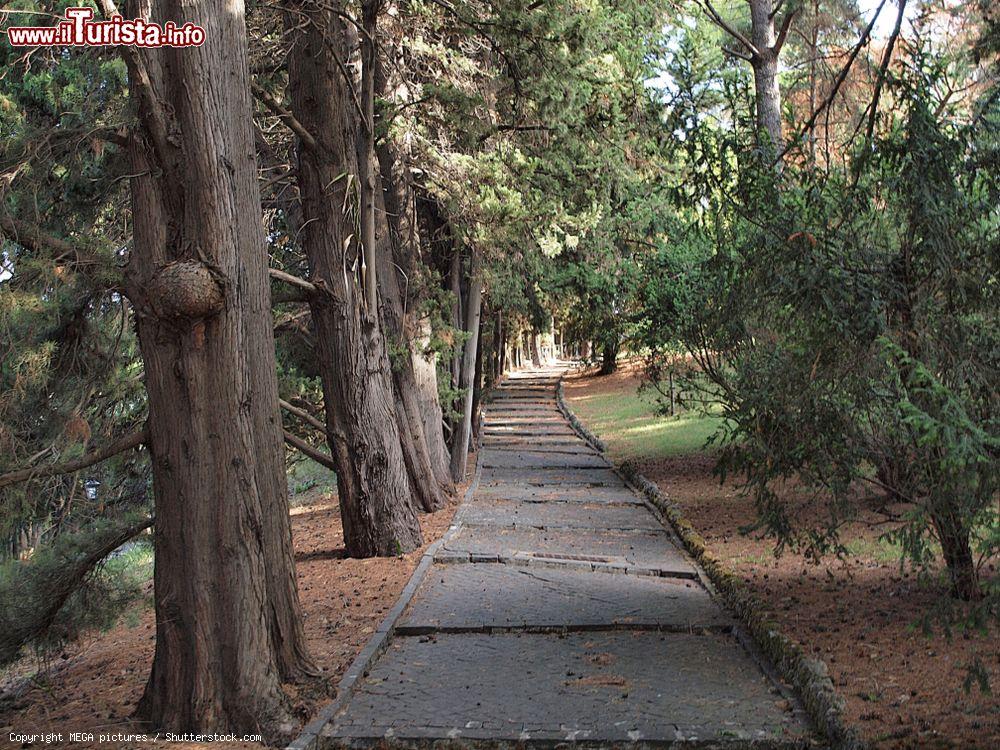 Immagine Passeggiata nei Giardini Vaticani, Città del Vaticano, Roma. In questi spazi verdi ci sono prati, giardini all'Inglese e all'Italiana, viali alberati e aree rocciose - © MEGA pictures / Shutterstock.com