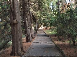 Passeggiata nei Giardini Vaticani, Città del Vaticano, Roma. In questi spazi verdi ci sono prati, giardini all'Inglese e all'Italiana, viali alberati e aree rocciose - © ...