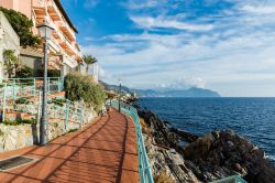 La passeggiata Anita Garibaldi nel lungomare di Nervi, Genova. Da qui si può ammirare una splendida veduta sulle scogliere e sul promontorio di Portofino. 



