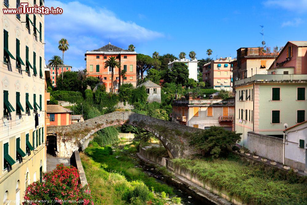 Immagine Un ponte in pietra nel centro di Nervi, Genova. Siamo in un tratto della passeggiata dedicata a Anita Garibaldi. Partendo dal porticciolo di Nervi si raggiunge l'antico scalo di Capolungo dopo un percorso di circa 2 chilometri  - © ArtMediaFactory / Shutterstock.com