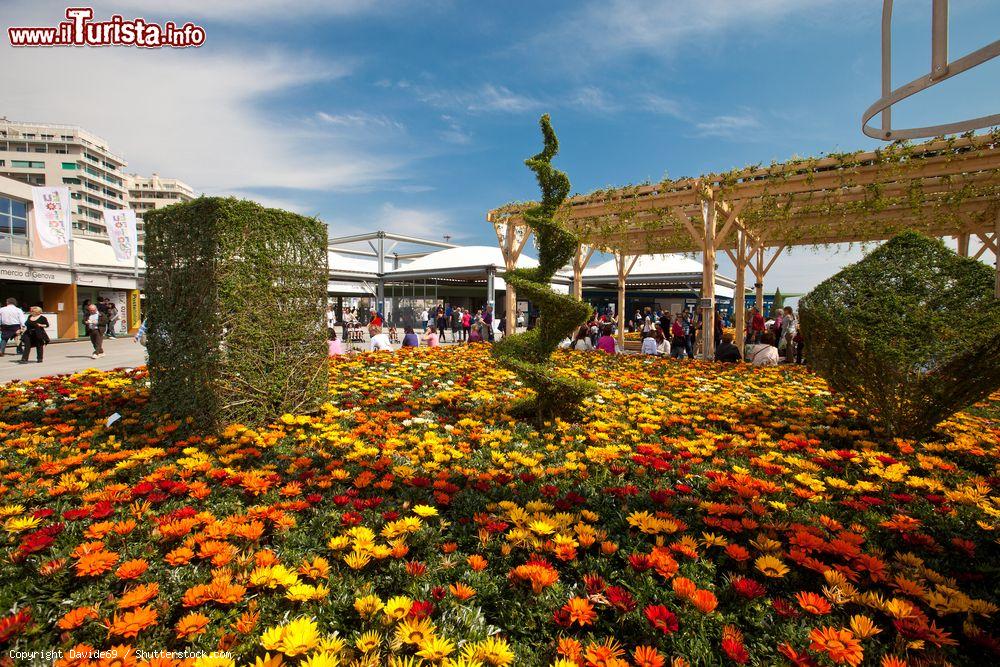 Immagine Fiori colorati e sculture floreali in occasione di Euroflora Event del 2011 a Nervi, Liguria - © Davide69 / Shutterstock.com