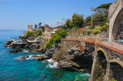 Passeggiata di Nervi, Liguria:  è una delle principali attrazioni di questo quartiere di Genova. 
