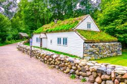 Una tradizionale fattoria riassemblata al Norsk Folkemuseum di Oslo, Norvegia. E' solo una delle tante fattorie con il tipico tetto in torba che si possono ammirare passeggiando per i sentieri ...