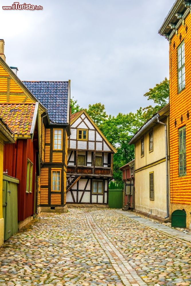 Immagine Scorcio di costruzioni in legno al Museo del Folkore Norvegese di Oslo. I fabbricati presenti al Norsk Folkemuseum risalgono al XVII° e XVIII° secolo.