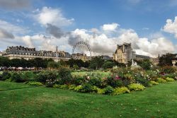 Panorama sul Giardino delle Tuileries, Louvre e ruota panoramica a Parigi, Francia. Questo parco pubblico ha contribuito già nel XVI° secolo, come aveva intuito Caterina Maria de' ...