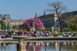 Un pittoresco scorcio del Giardino delle Tuileries in una giornata di sole, Parigi, Francia. In primo piano, turisti e parigini prendono il sole davanti a una fontana. Sullo sfondo, una buganvillea ...