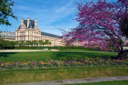 Una bella veduta del Jardin des Tuileries a Parigi, Francia. Il nome "Tuileries" deriva dal francese "tuile" che significa tegola o piastrella. In origine infatti il luogo ...