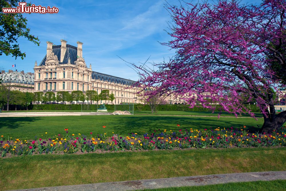 Cosa vedere e cosa visitare Giardino delle Tuileries