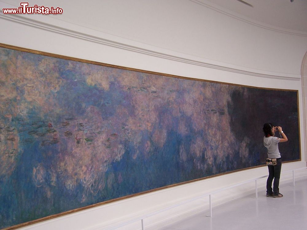 Immagine Una turista ammira e fotografa una tela delle Ninfee al Museo dell'Orangerie di Parigi, Francia - © gigi4791 - Louvre, Monet-Nuferii, CC BY 2.0, Collegamento