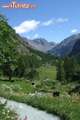 Immagine Parco Paradisia