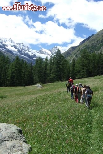 Immagine Passeggiata