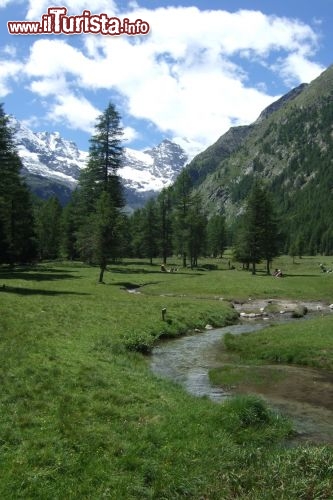 Immagine Fondovalle