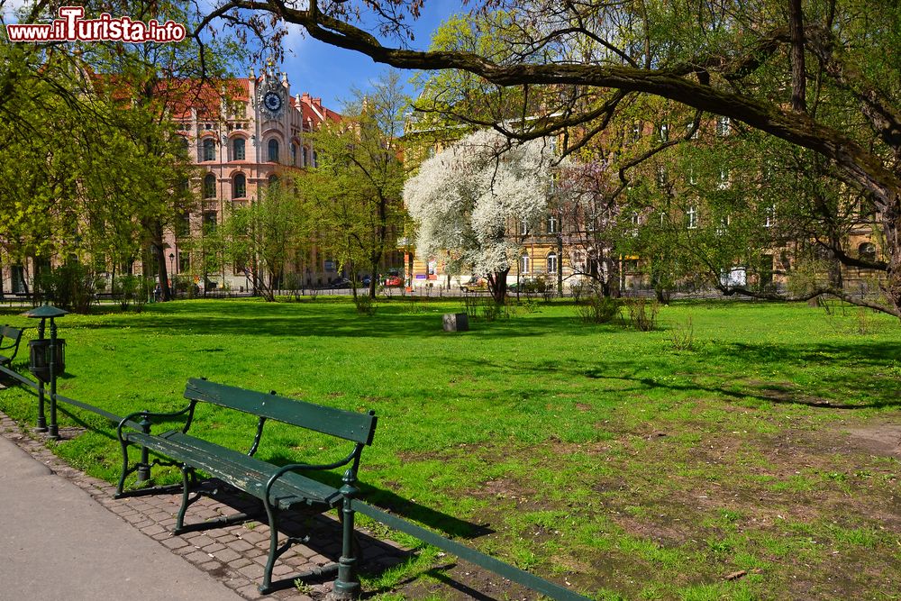 Immagine Fioritura primaverile all'interno del Planty Park, centro storico di Cracovia. E' formato da un trentina di giardini ed accoglie monumenti ed edifici storici