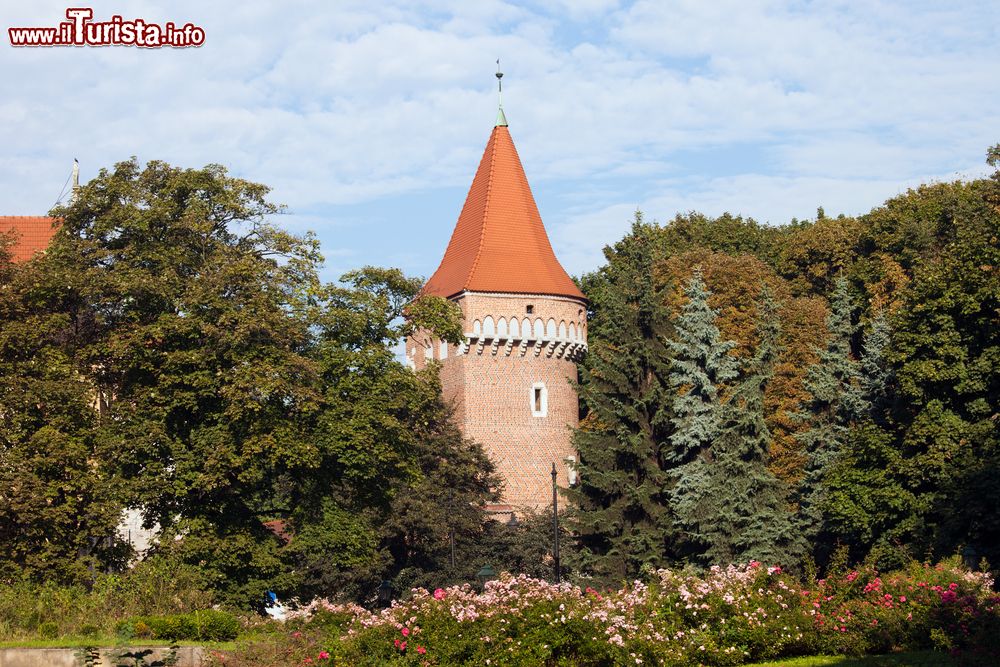 Immagine La torre gotica Baszta Pasamonikow fotografata dal Planty Park a Cracovia, giardino pubblico che venne eretto lungo il perimetro delle antiche mura cittadine