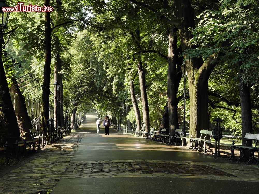 Immagine Passeggiata all'interno del Planty Park, il polmone verde di Cracovia in Polonia