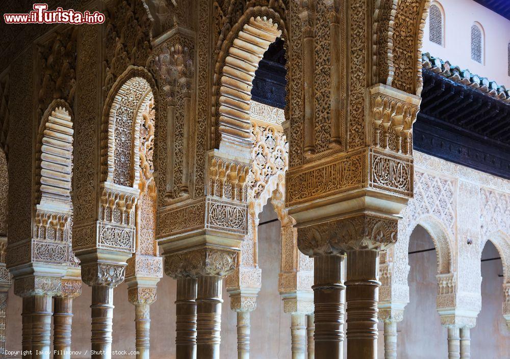 Immagine Archi e colonne del Patio dei Leoni all'Alhambra, Granada - © Iakov Filimonov / Shutterstock.com