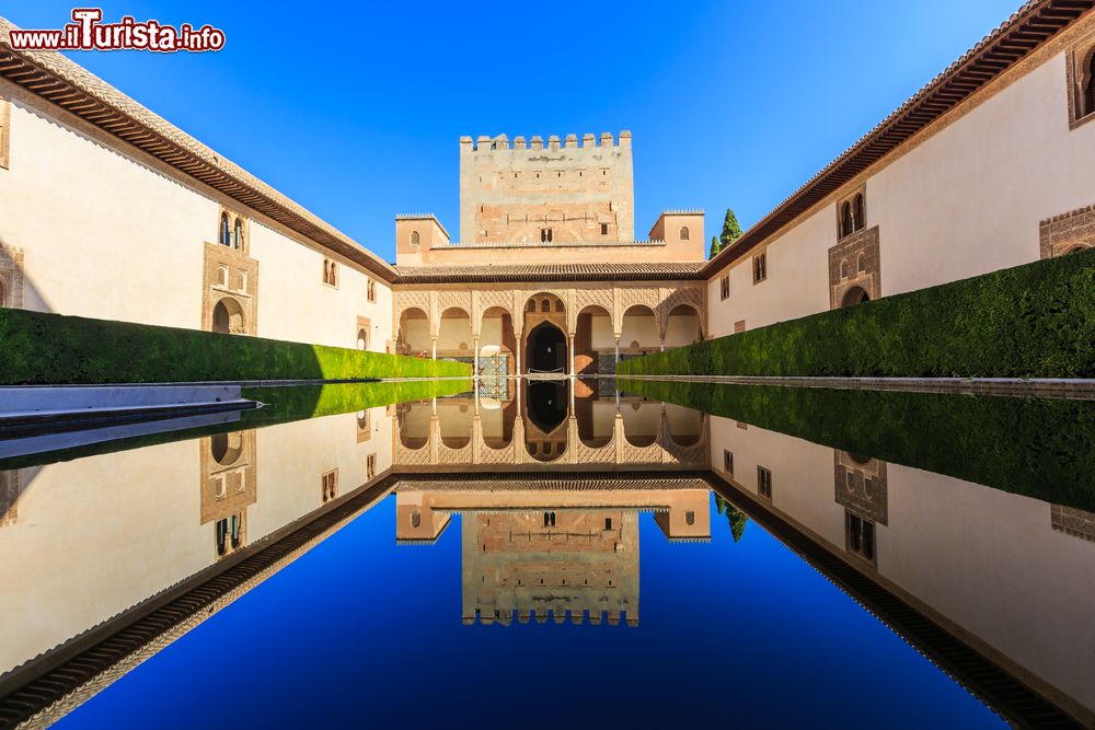 Immagine Il patio de los Arrayanes all'Alhambra, Granada, Spagna. E' il recinto centrale del Palazzo de Comares: i mirti (arrayenes in spagnolo) sono piantati su entrambi i lati della vasca nella quale si riflette l'imponente Torre de Comares.