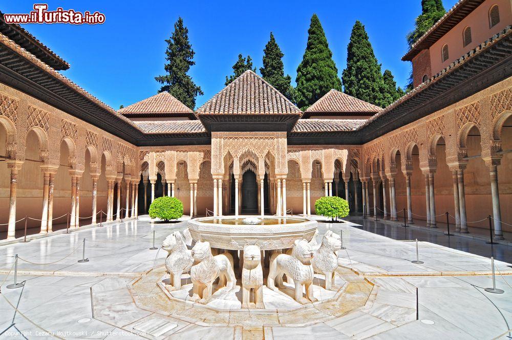 Immagine Il Patio de los Leones (Patio of the Lions) nei palazzi nasridi all'Alhambra, Granada. Risale al 1377: il cortile interno è circondato da un portico con 124 colonne di marmo bianco di Almeria  - © Cezary Wojtkowski / Shutterstock.com