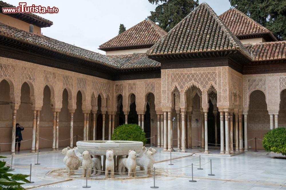 Immagine La fontana dei leoni in un cortile interno dell'Alhambra, Granada, in una giornata nuvolosa. Si racconta che questi leoni provengano dalla casa del visir ebreo Samuel Ben Nagrela che li regalò al sultano - © Salvador Aznar / Shutterstock.com