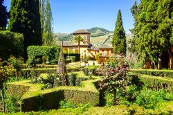 Veduta dei giardini dell'Alhambra in estate, Granada, Spagna. E' uno dei monumenti più visitati d'Europa e dal 1984 è patrimonio mondiale dell'Unesco.

