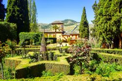 Veduta dei giardini dell'Alhambra in estate, Granada, Spagna. E' uno dei monumenti più visitati d'Europa e dal 1984 è patrimonio mondiale dell'Unesco.

