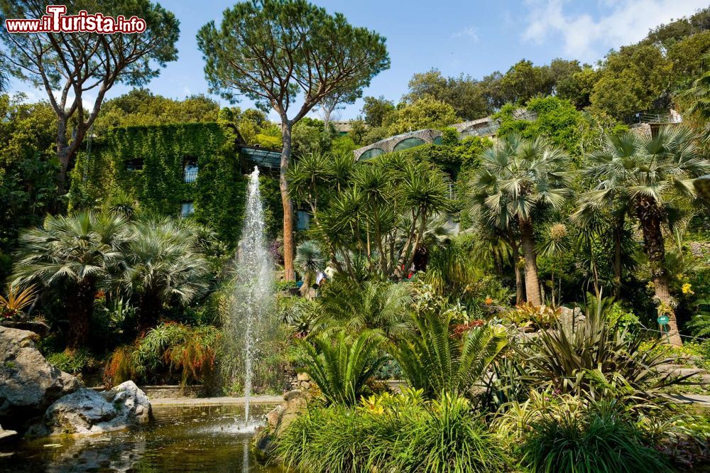 Immagine Il Parco Termale della Fonte delle Ninfe di Nitrodi a Barano d'Ischia in Campania