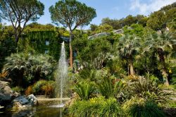 Il Parco Termale della Fonte delle Ninfe di Nitrodi a Barano d'Ischia in Campania