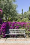 Un particolare dei Giardini della Villa Comunale di Taormina in primavera