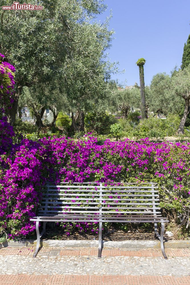 Immagine Un particolare dei Giardini della Villa Comunale di Taormina in primavera