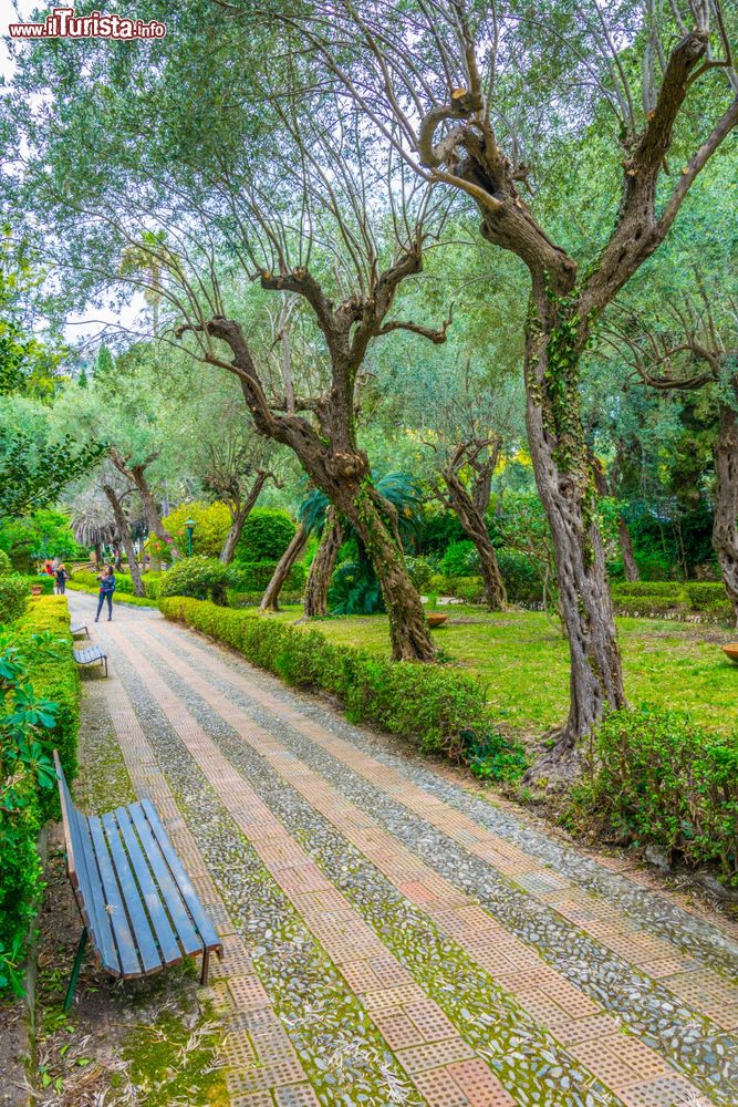 Immagine Un particolare del paraco dei giardini di Villa Comunale a Taormina