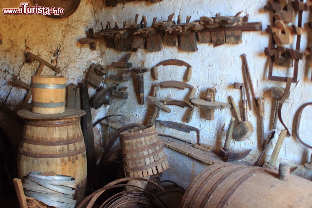 Immagine Antichi utensili ritrovati nella Grotta di Magiapane a Custonaci, Trapani, Sicilia. Fra i reperti che provengono da questo insediamento alcuni risalgono al Paleolitico superiore.