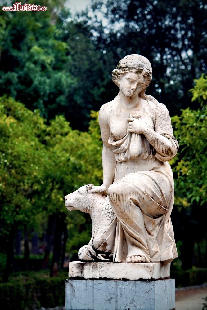 Immagine Il Botanical Garden di Palermo (Sicilia). Oltre alla grande ricchezza di piante ospitate, alcune delle quali a grandezza monumentale, il giardino è impreziosito da sculture in marmo e pietra.