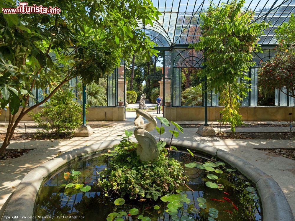 Immagine Il percorso museale dell'Orto Botanico di Palermo, Sicilia. Le serre che compongono il giardino coprono un'area di circa 1300 metri quadrati - © Francesca Sciarra / Shutterstock.com