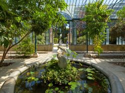 Il percorso museale dell'Orto Botanico di Palermo, Sicilia. Le serre che compongono il giardino coprono un'area di circa 1300 metri quadrati - © Francesca Sciarra / Shutterstock.com ...