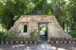 Un pittoresco scorcio del Giardino Botanico di Palermo, Sicilia. L'attuale estensione di 10 ettari è stata raggiunta solo nel 1906 in seguito a diversi ampliamenti.
