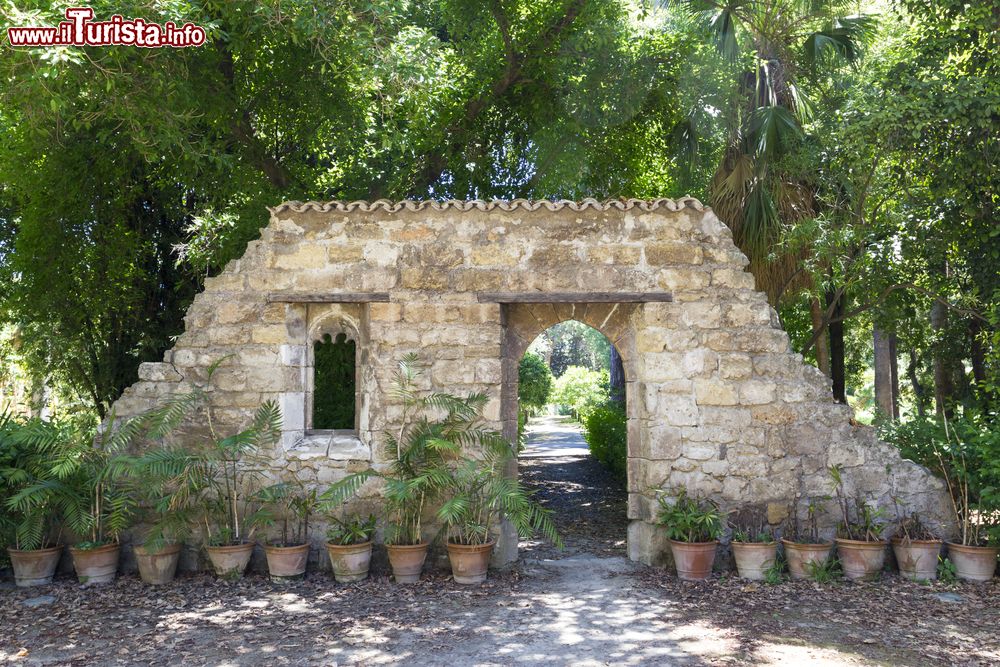 Immagine Un pittoresco scorcio del Giardino Botanico di Palermo, Sicilia. L'attuale estensione di 10 ettari è stata raggiunta solo nel 1906 in seguito a diversi ampliamenti.